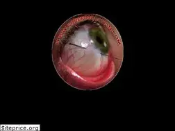 Sites similar to goreproduction.com