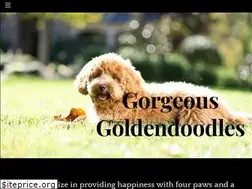 Sites similar to gorgeousgoldendoodlesnc.com