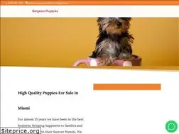 Sites similar to gorgeouspuppiesandkittens.com