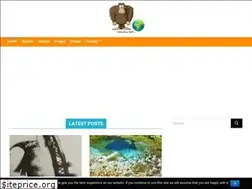 Sites similar to gorillacool.com