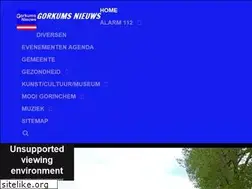 Sites similar to gorkumsnieuws.nl