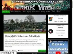 Sites similar to gornik-leczna.com