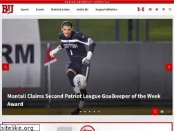 Sites similar to goterriers.com
