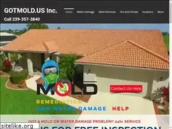 Sites similar to gotmold.us