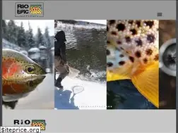 Sites similar to gottrout.com