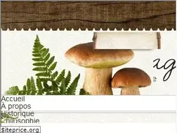 Sites similar to gourmetsauvage.ca