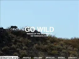 Sites similar to goyamagata.com