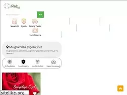 Sites similar to gozdecicekcilik.com