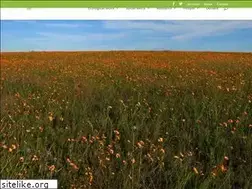 Sites similar to gprc.org