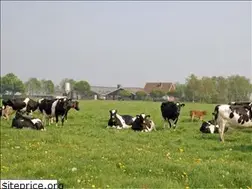 Sites similar to graasboerderij.nl