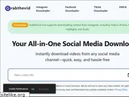 Sites similar to grabthevid.com