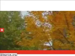 Sites similar to gradbena.si