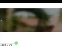 Sites similar to graficacearense.com.br