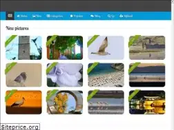 Sites similar to grafimx.com