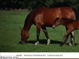 Sites similar to grahamhaymarket.com