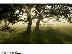 Sites similar to grahamwardleonline.com