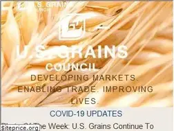 Sites similar to grains.org