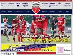 Sites similar to grande-fc.net