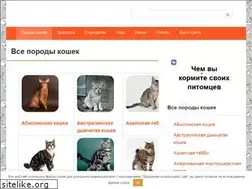 Sites similar to grandelbrus.ru