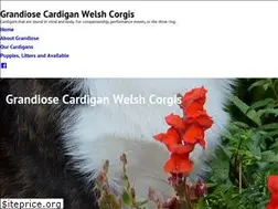 Sites similar to grandiosecardigans.com