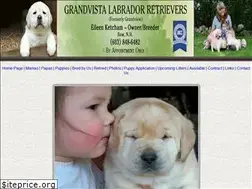 Sites similar to grandvistalabs.com
