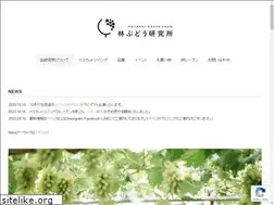 Sites similar to grape-labo.com