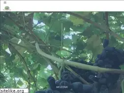 Sites similar to grapes.global