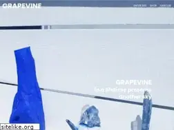 Sites similar to grapevineonline.jp