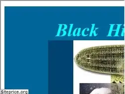 Sites similar to grassandcement.com