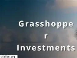 Sites similar to grasshopperinvestments.com