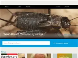 Sites similar to grasshoppersofeurope.com