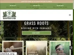 Sites similar to grassrootsrxnm.com