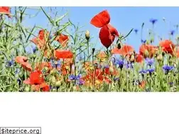 Sites similar to grasstrimmerreviews.co.uk