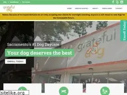 Sites similar to gratefuldogdaycare.com