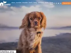 Sites similar to gratefultv.com