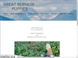 Sites similar to greatbernesepuppies.com