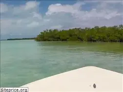 Sites similar to greatbonefishing.com