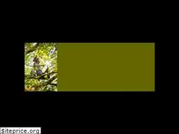 Sites similar to green-top.nl