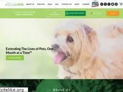 Sites similar to greendogdental.com