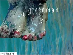 Sites similar to greenmanmusic.com