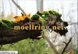 Sites similar to gregor-moellring.de