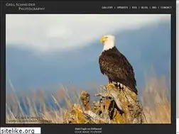 Sites similar to gregschneiderphotography.com