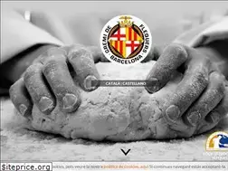 Sites similar to gremipabcn.com