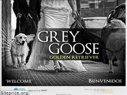 Sites similar to grey-goose.es