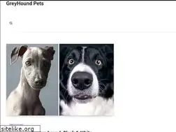 Sites similar to greyhoundpetsorlando.org