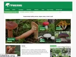 Sites similar to gribnick.org.ua
