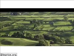 Sites similar to gridironmeat.co.uk