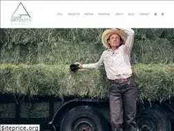 Sites similar to gritzcine.com