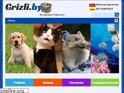 Sites similar to grizli.by