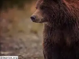Sites similar to grizzly-hills.com
